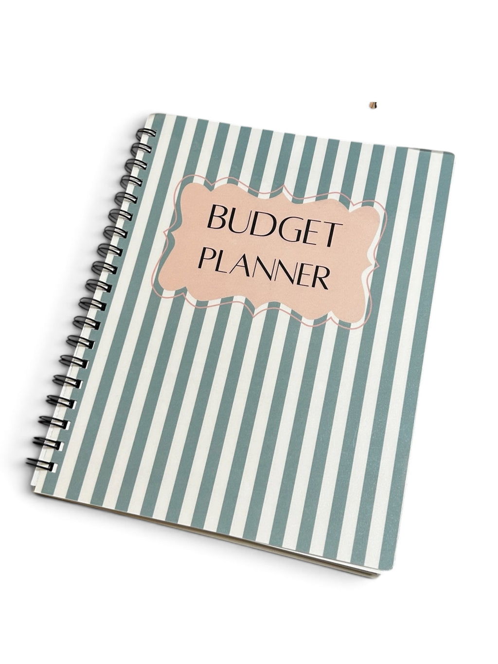 Budget Planner & Expense Tracker Journal | 8x10 Monthly Money Management, Debt Payoff & Savings Tracker
